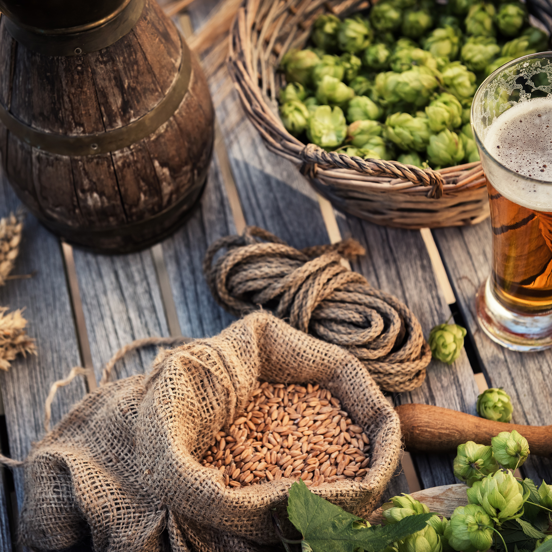 Fresh,Cold,Beer,Glass,In,Rustic,Setting.,Food,And,Drink