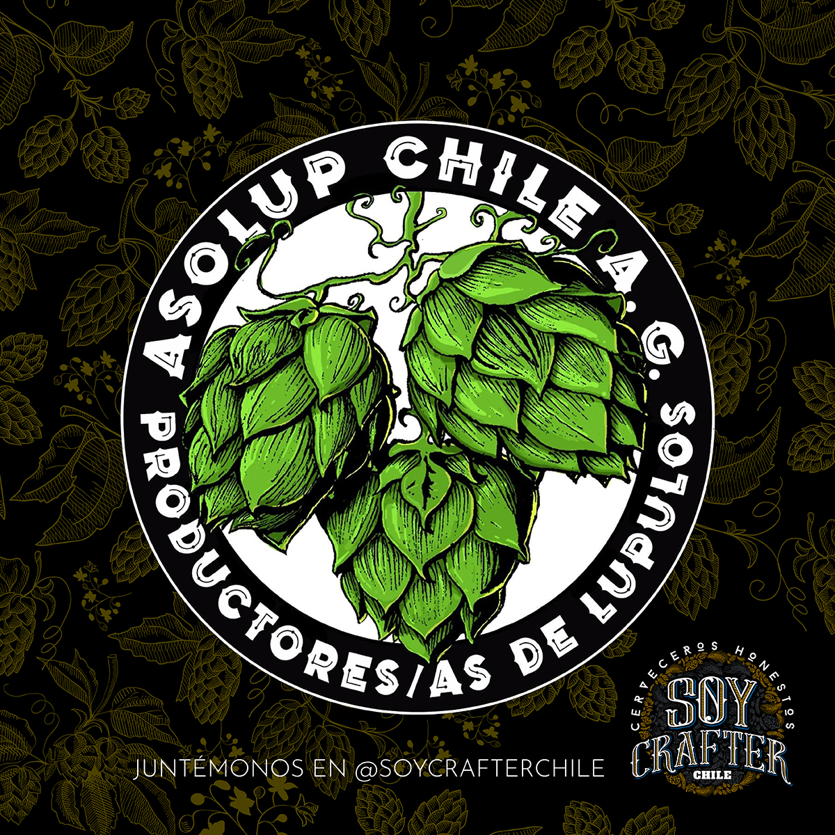 IG Soy Crafter_Asolup