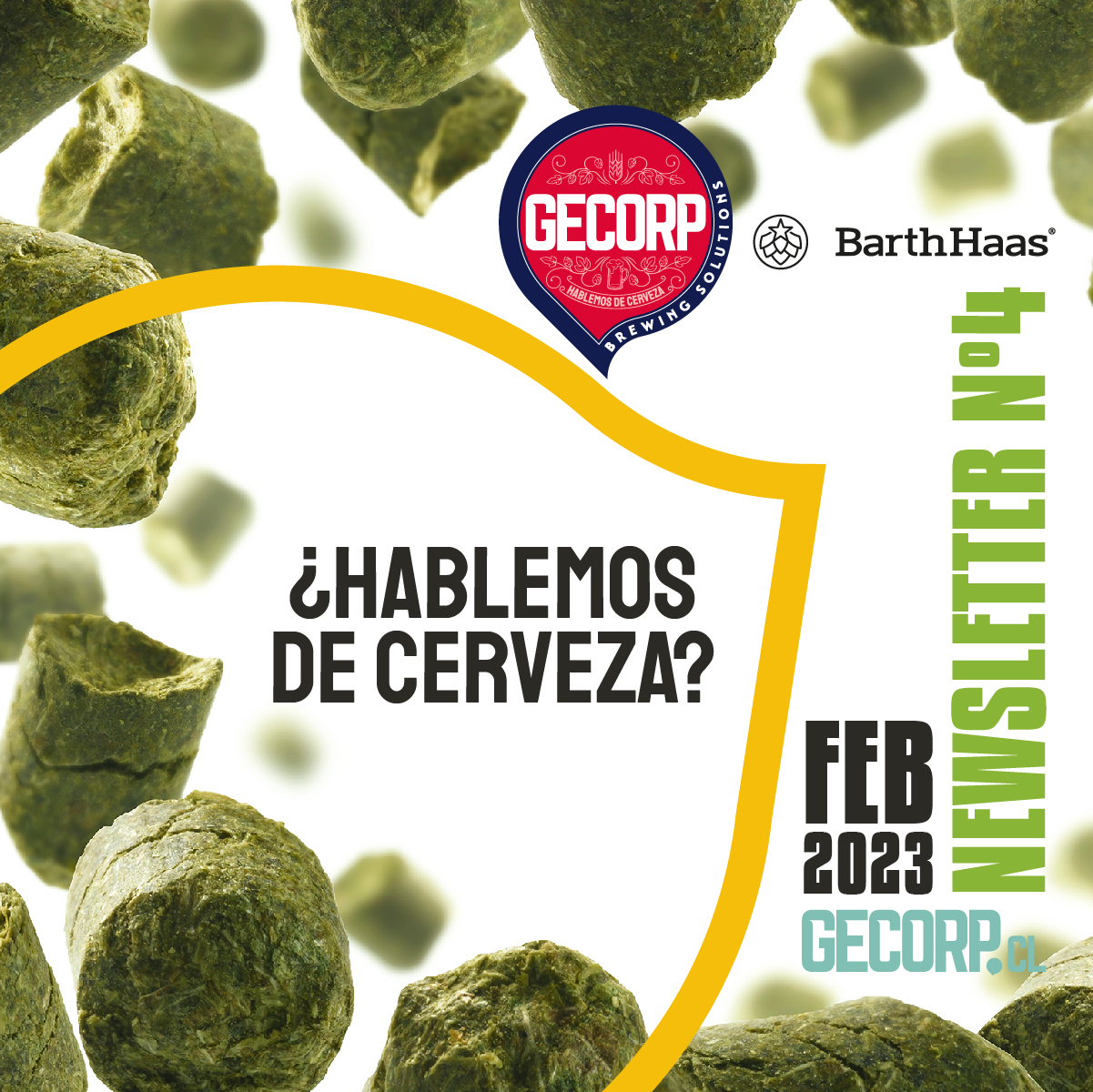 LÚPULOS, EL ALMA DE LA FIESTA CERVECERA